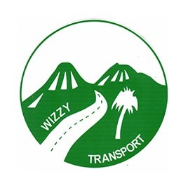 MST_Logo_Wizzy